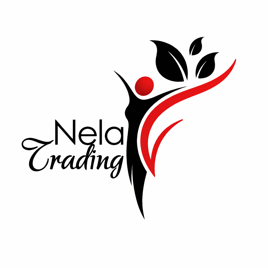 VilNel Financial Services logo